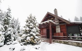 Cabane- Vila Crinul Si Teodor Poiana Brasov